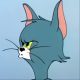 Crazy Cat
